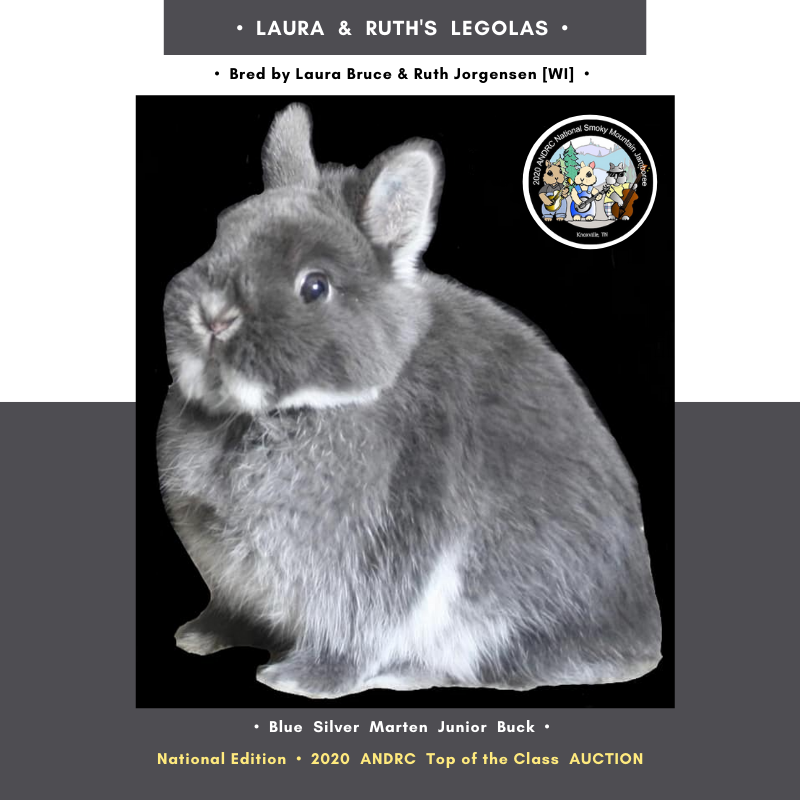 American Netherland Dwarf Rabbit Club Website