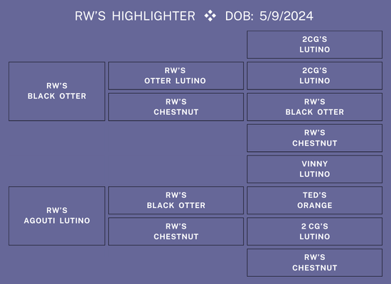 24CVN-Auction-Ross-Ped.png