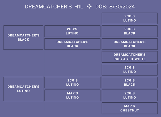 25Nat-Lot15-PowersPed.png 25Nat-Lot15-PowersPed.png
