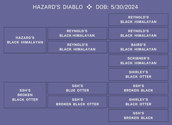 25Nat-Lot16-HazardPed.png 25Nat-Lot16-HazardPed.png