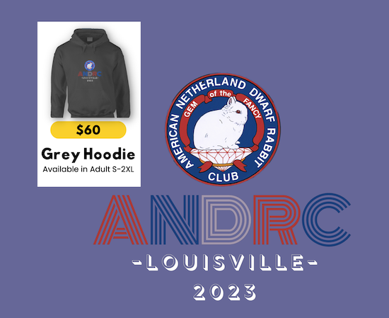 Gray_Hoodie_Design_Sm.png