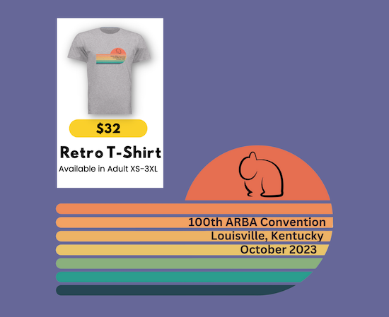 Retro_Design_SM.png